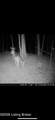0 Wheeler Rd - Photo 11