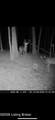 0 Wheeler Rd - Photo 12