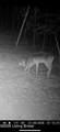 0 Wheeler Rd - Photo 9