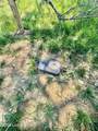 1041 Mays Rd - Photo 12