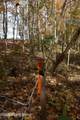 17 Fox Cliff Rd - Photo 11