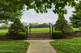 1460 Shannon Run Rd - Photo 93
