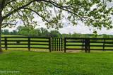 1460 Shannon Run Rd - Photo 94