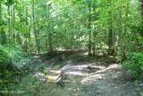 0 Ditney Hill Rd - Photo 43
