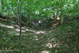 0 Ditney Hill Rd - Photo 9