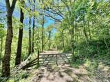 0 Three Lick Rd - Photo 19