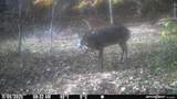 0 Three Lick Rd - Photo 5