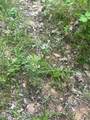 449 Doug Thompson Rd - Photo 13