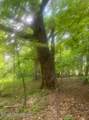 449 Doug Thompson Rd - Photo 25