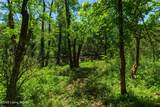 873 Pine Haven Rd - Photo 15