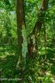 873 Pine Haven Rd - Photo 21