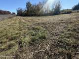 Lot #4 Highway 60 - Photo 11