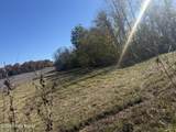 Lot #4 Highway 60 - Photo 5