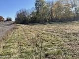 Lot #4 Highway 60 - Photo 7
