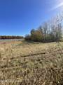 Lot #4 Highway 60 - Photo 9