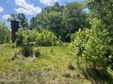 13305 Bearcamp Rd - Photo 5
