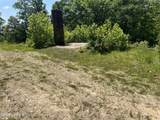 13305 Bearcamp Rd - Photo 6