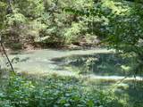 2954 Brooks Hill Rd - Photo 48