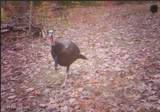 4837 Nat Rogers Rd - Photo 10