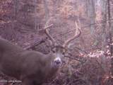 4837 Nat Rogers Rd - Photo 9