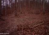 4837 Nat Rogers Rd - Photo 93