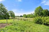 1167 New Cut Rd - Photo 10
