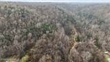 405 Tennessee Walking Ln - Photo 13