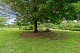 2240 Little Bend Rd - Photo 81