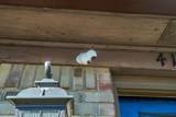 4134 5th St - Photo 37