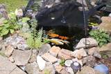 11409 Tazwell Dr - Photo 5