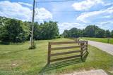 65 Arvin Ave - Photo 81