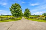 2376 Anderson Ln - Photo 88