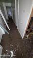 1818 Baird St - Photo 11