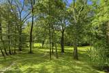 4210 Dolphin Rd - Photo 4