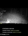 167 Price Rd - Photo 14