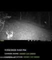167 Price Rd - Photo 15