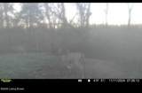167 Price Rd - Photo 16