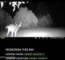 167 Price Rd - Photo 17