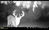 167 Price Rd - Photo 3