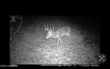 167 Price Rd - Photo 73