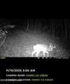 167 Price Rd - Photo 75