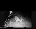 167 Price Rd - Photo 77