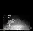 167 Price Rd - Photo 79