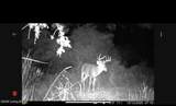 167 Price Rd - Photo 80