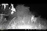 167 Price Rd - Photo 81