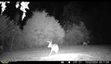 167 Price Rd - Photo 82
