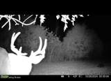 167 Price Rd - Photo 83