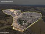 2466 Back Creek Rd - Photo 2