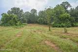 989 Beechridge Rd - Photo 3