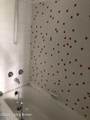 3320 Bardstown Rd - Photo 4